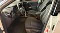 Skoda Fabia 1.0 tsi Style 95cv Ok Neopatentati *PREZZO REALE* Blanc - thumbnail 13