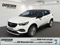 Opel Grandland X INNOVATION 1.5 Navi 360 Kamera LED Kurvenlicht El. Weiß - thumbnail 1