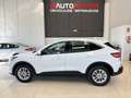 Ford Kuga 2.5 Duratec FHEV Titanium 4x2 Aut. Blanco - thumbnail 6