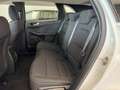 Ford Kuga 2.5 Duratec FHEV Titanium 4x2 Aut. Blanco - thumbnail 28