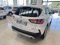 Ford Kuga 2.5 Duratec FHEV Titanium 4x2 Aut. Blanco - thumbnail 4
