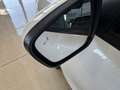 Ford Kuga 2.5 Duratec FHEV Titanium 4x2 Aut. Blanco - thumbnail 9