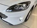 Ford Kuga 2.5 Duratec FHEV Titanium 4x2 Aut. Blanco - thumbnail 8