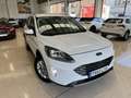 Ford Kuga 2.5 Duratec FHEV Titanium 4x2 Aut. Blanco - thumbnail 2