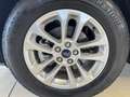 Ford Kuga 2.5 Duratec FHEV Titanium 4x2 Aut. Blanco - thumbnail 10