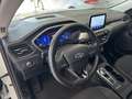 Ford Kuga 2.5 Duratec FHEV Titanium 4x2 Aut. Blanco - thumbnail 12