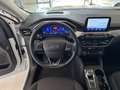 Ford Kuga 2.5 Duratec FHEV Titanium 4x2 Aut. Blanco - thumbnail 14