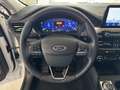 Ford Kuga 2.5 Duratec FHEV Titanium 4x2 Aut. Blanco - thumbnail 15