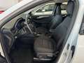 Ford Kuga 2.5 Duratec FHEV Titanium 4x2 Aut. Blanco - thumbnail 11