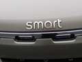 smart #5 BEV 100kWh Summit Edition Grün - thumbnail 19