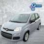 Fiat Panda Panda 1.0 FireFly S&S Hybrid Grigio - thumbnail 2