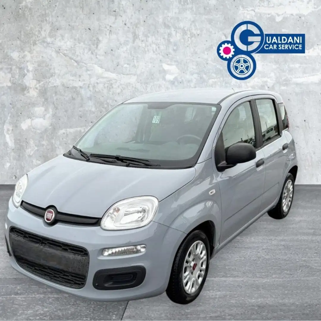 Fiat Panda Panda 1.0 FireFly S&S Hybrid Grigio - 2