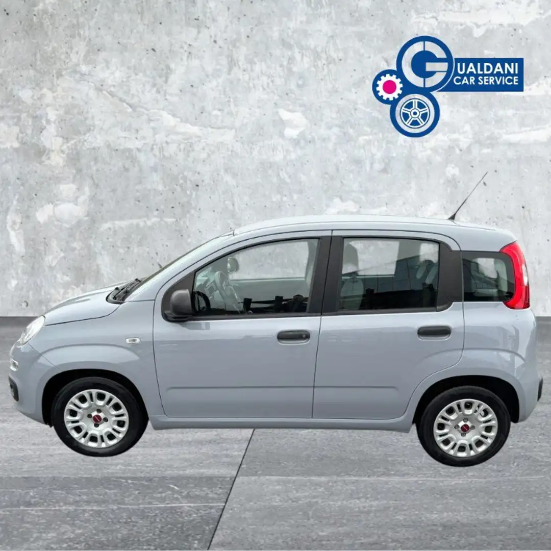 Fiat Panda Panda 1.0 FireFly S&S Hybrid Grigio - 1