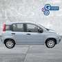 Fiat Panda Panda 1.0 FireFly S&S Hybrid Grigio - thumbnail 6