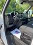 Renault Master T35 Dci 135 Ice Frigo L3H2 FG TA Wit - thumbnail 10