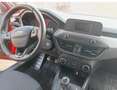 Ford Focus Focus 1,0 EcoBoost Trend Trend Rot - thumbnail 7