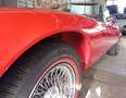 Jaguar E-Type Serie 3 V12 Roadster Schaltgetriebe WGA Note 2+ Piros - thumbnail 13
