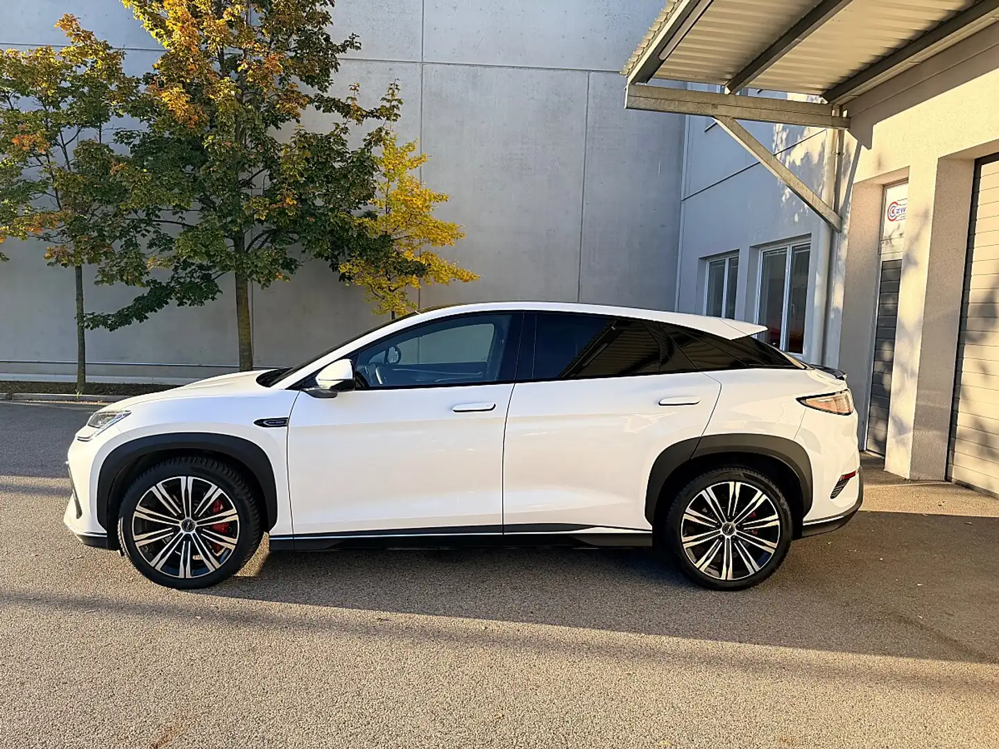 BYD Sealion 7 EV Excellence AWD 91,3kWh Weiß - 2