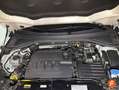 Volkswagen T-Roc 1.6TDI Advance Blanco - thumbnail 18