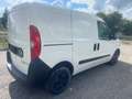 Fiat Doblo SX Kasten Blanc - thumbnail 5