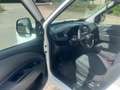 Fiat Doblo SX Kasten Blanc - thumbnail 9