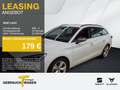 SEAT Leon Sportstourer 1.5 eTSI DSG FR MATRIX SIDE-AS Weiß - thumbnail 1