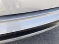 Kia Sorento 1.6 T-GDi HEV Plus Edition *7 plazas* *Techo* - thumbnail 11