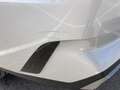 Kia Sorento 1.6 T-GDi HEV Plus Edition *7 plazas* *Techo* - thumbnail 12