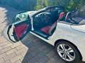 Mercedes-Benz SLK 280 SLK 280 7G-TRONIC Weiß - thumbnail 4