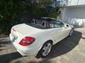 Mercedes-Benz SLK 280 SLK 280 7G-TRONIC Weiß - thumbnail 2