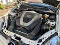 Mercedes-Benz SLK 280 SLK 280 7G-TRONIC Weiß - thumbnail 6