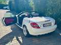 Mercedes-Benz SLK 280 SLK 280 7G-TRONIC Weiß - thumbnail 3