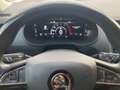 Skoda Octavia Style Limited TDI DSG Grau - thumbnail 7