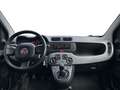 Fiat New Panda 1.0 FireFly Hybrid Grigio - thumbnail 9