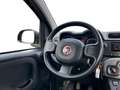 Fiat New Panda 1.0 FireFly Hybrid Grigio - thumbnail 11