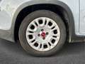 Fiat New Panda 1.0 FireFly Hybrid Grigio - thumbnail 17