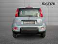 Fiat New Panda 1.0 FireFly Hybrid Grigio - thumbnail 4