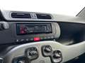 Fiat New Panda 1.0 FireFly Hybrid Grigio - thumbnail 12