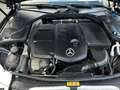 Mercedes-Benz C 450 -Klasse T-Modell C220d T Aventgarde Gris - thumbnail 8