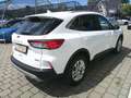 Ford Kuga 2,5 Duratec FHEV Titanium X Aut. Weiß - thumbnail 7