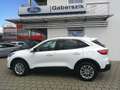 Ford Kuga 2,5 Duratec FHEV Titanium X Aut. Weiß - thumbnail 2