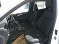 Ford Kuga 2,5 Duratec FHEV Titanium X Aut. Weiß - thumbnail 12