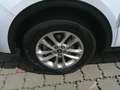 Ford Kuga 2,5 Duratec FHEV Titanium X Aut. Weiß - thumbnail 10