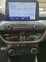 Ford Focus SW 2.0 ecoblue Vignale Co-pilot s&s 150cv auto - thumbnail 13