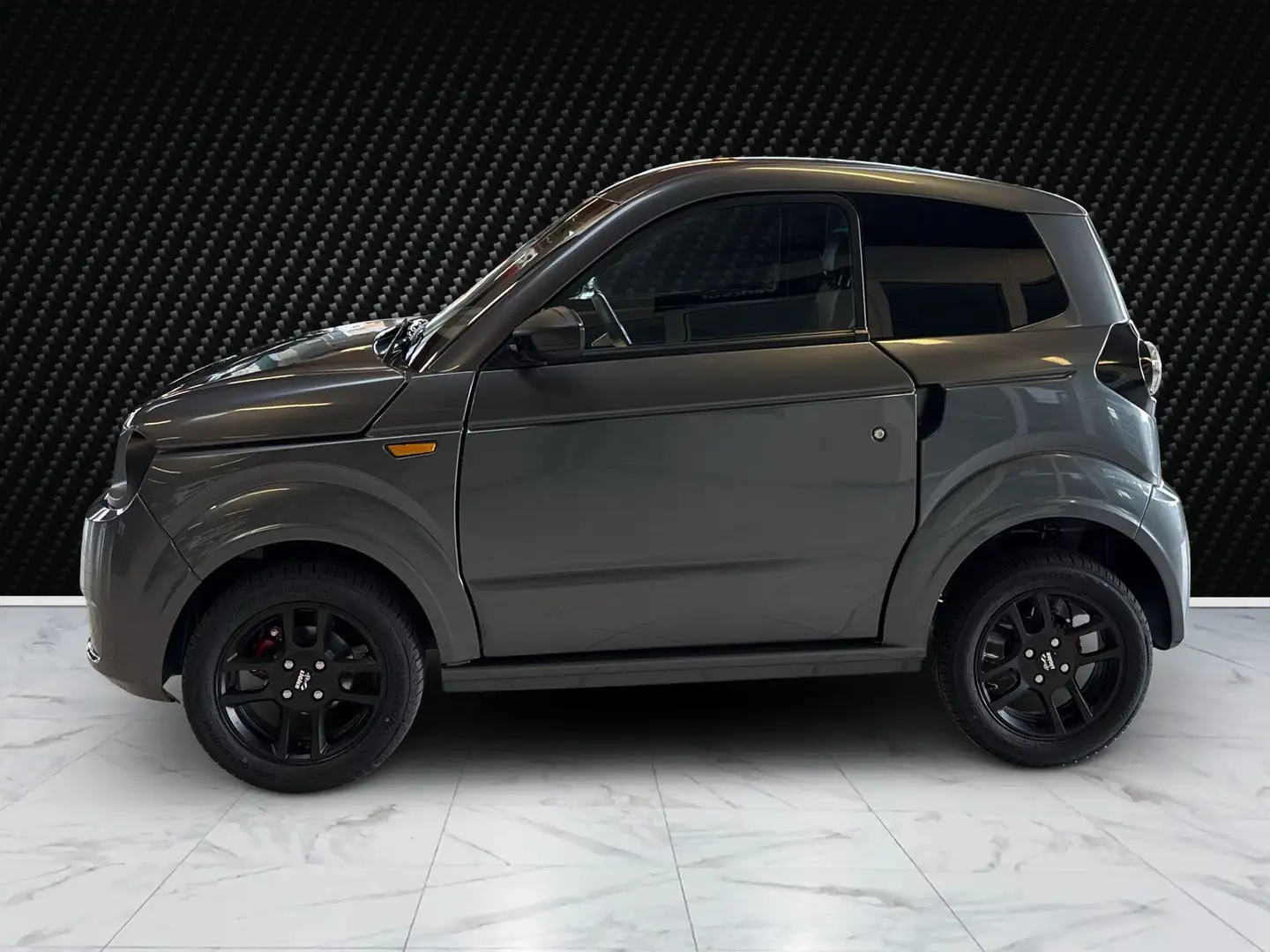 Ligier Myli Neuwagen Gris - 2