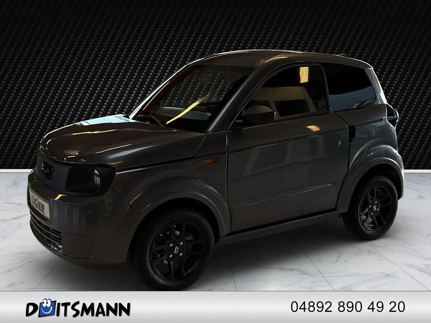 Ligier Myli Neuwagen Gris - 1