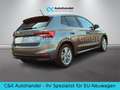 Skoda Fabia 130 Jahre Premium 1.0 TSI 116 PS 7-DSG Grau - thumbnail 7