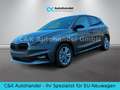 Skoda Fabia 130 Jahre Premium 1.0 TSI 116 PS 7-DSG Grau - thumbnail 1
