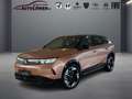 Opel Grandland X Electric GS Braun - thumbnail 1