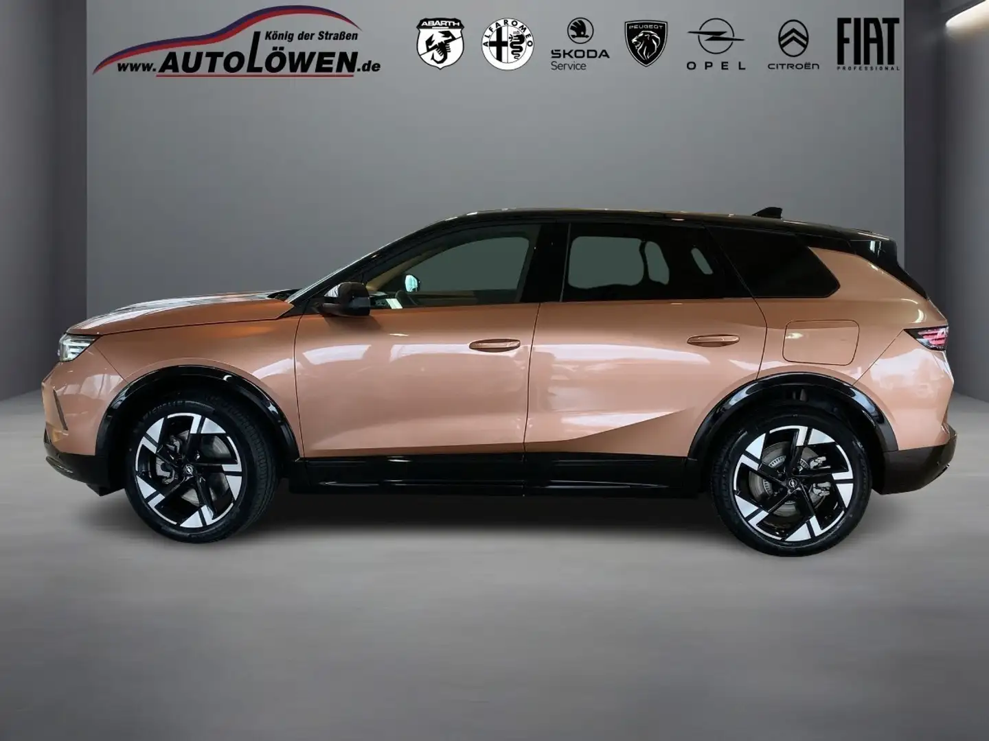Opel Grandland X Electric GS Braun - 2
